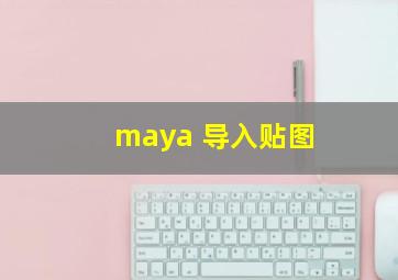 maya 导入贴图